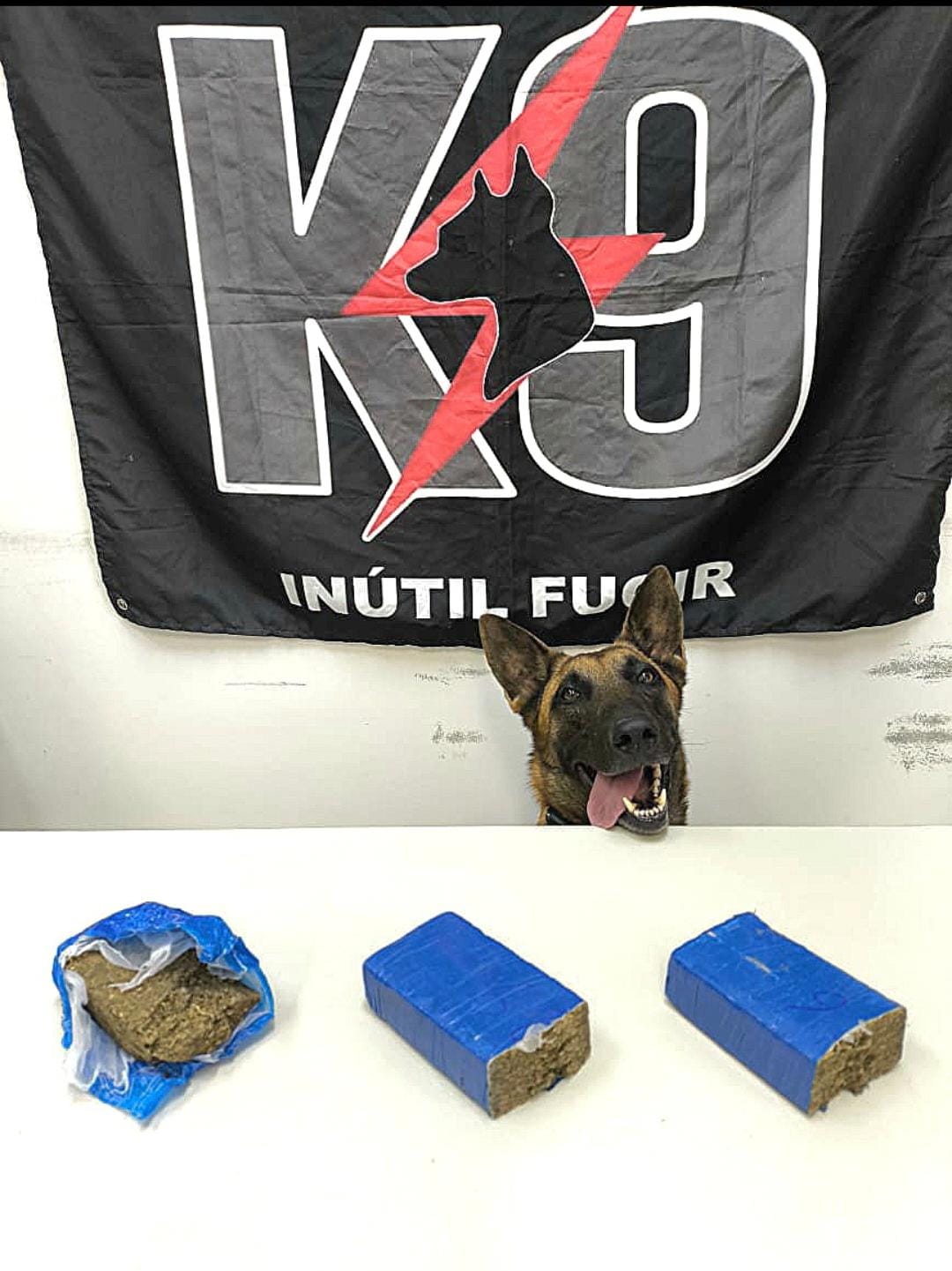 WhatsApp Image 2025-08-26 at 12.29.06 (2)