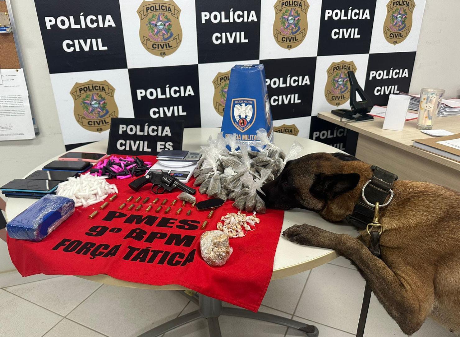 WhatsApp Image 2025-10-07 at 16.05.02 (1)