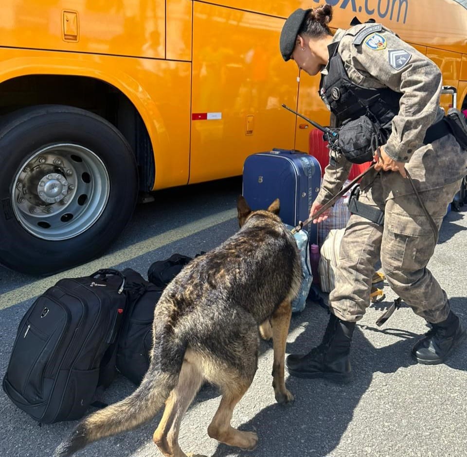 WhatsApp Image 2025-11-10 at 17.06.35