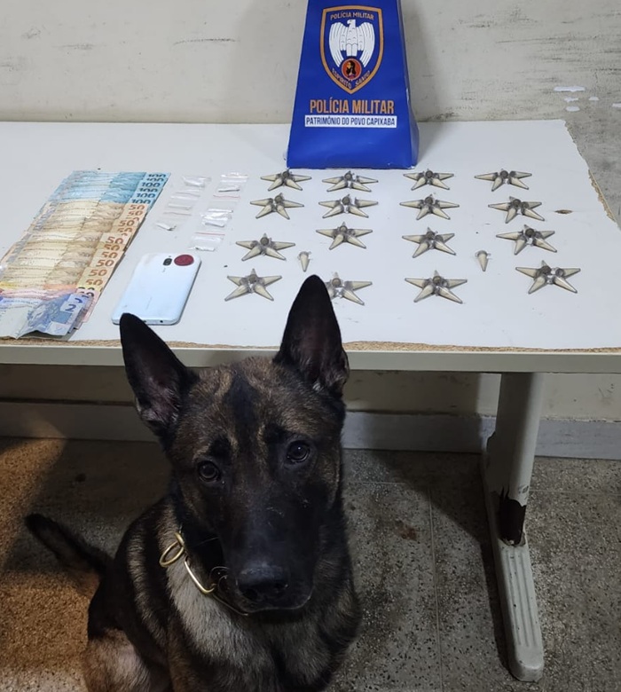 WhatsApp Image 2026-02-10 at 11.35.44 (3)