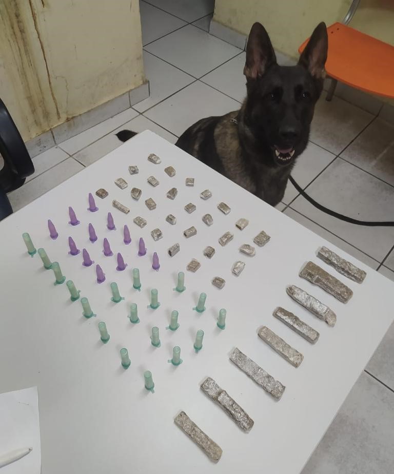 Pmes Força Tática E K9 Apreendem Drogas Em Jardim Camburi