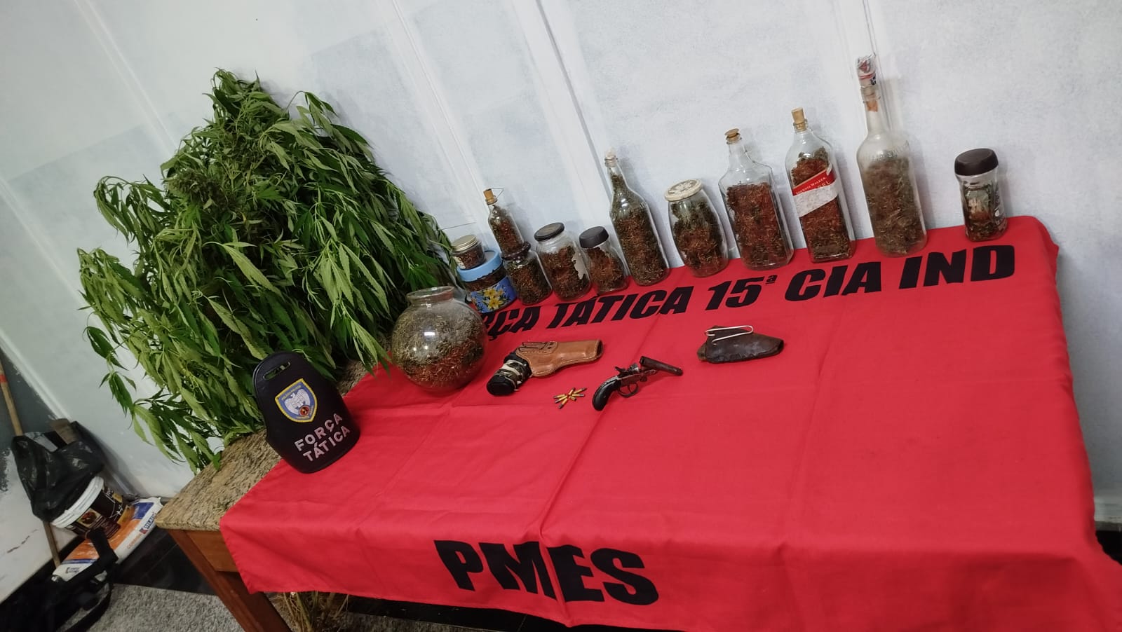 drogas 15