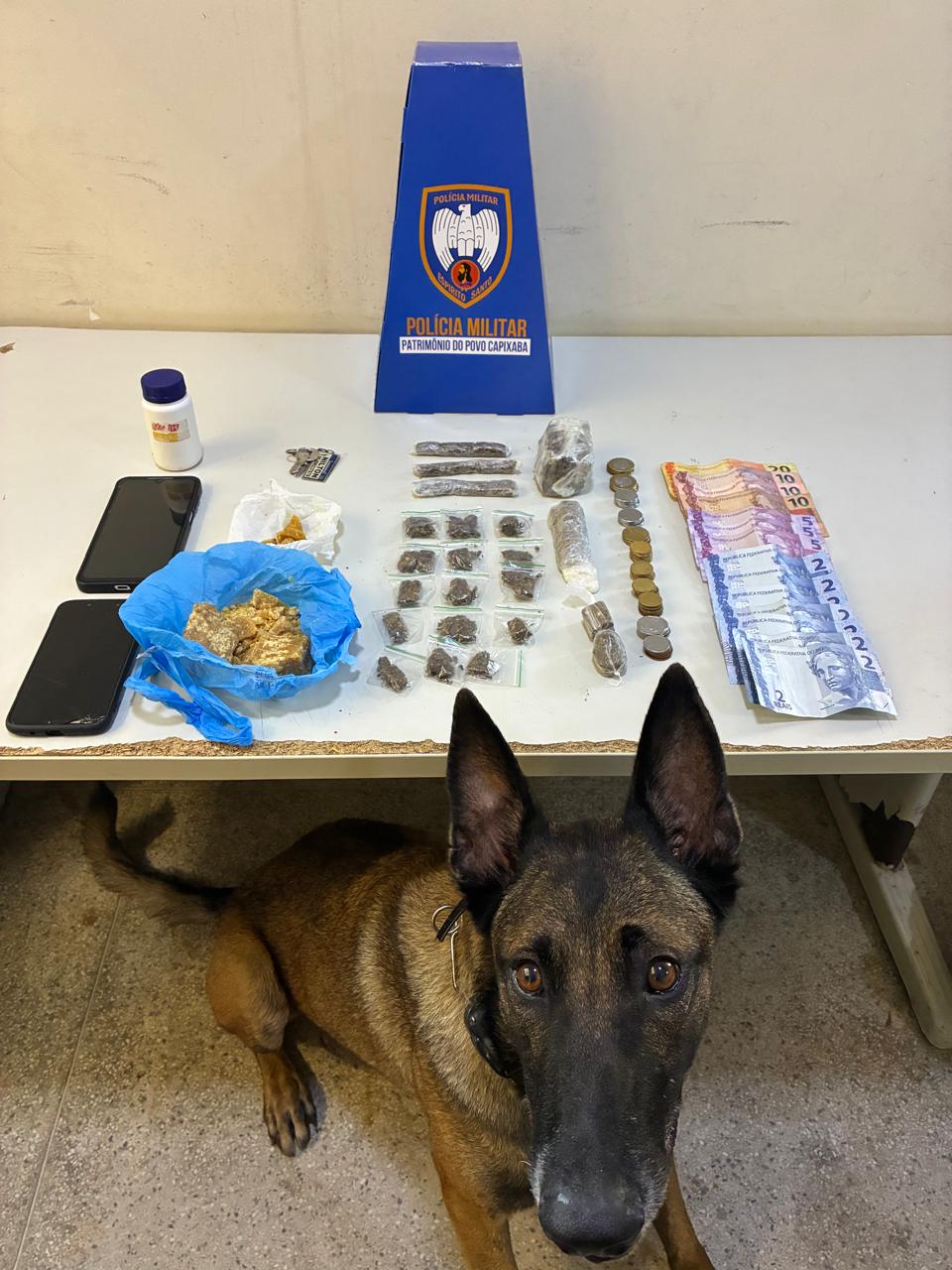 eb3d33a6-98dd-4faa-ab82-c10002d057fe