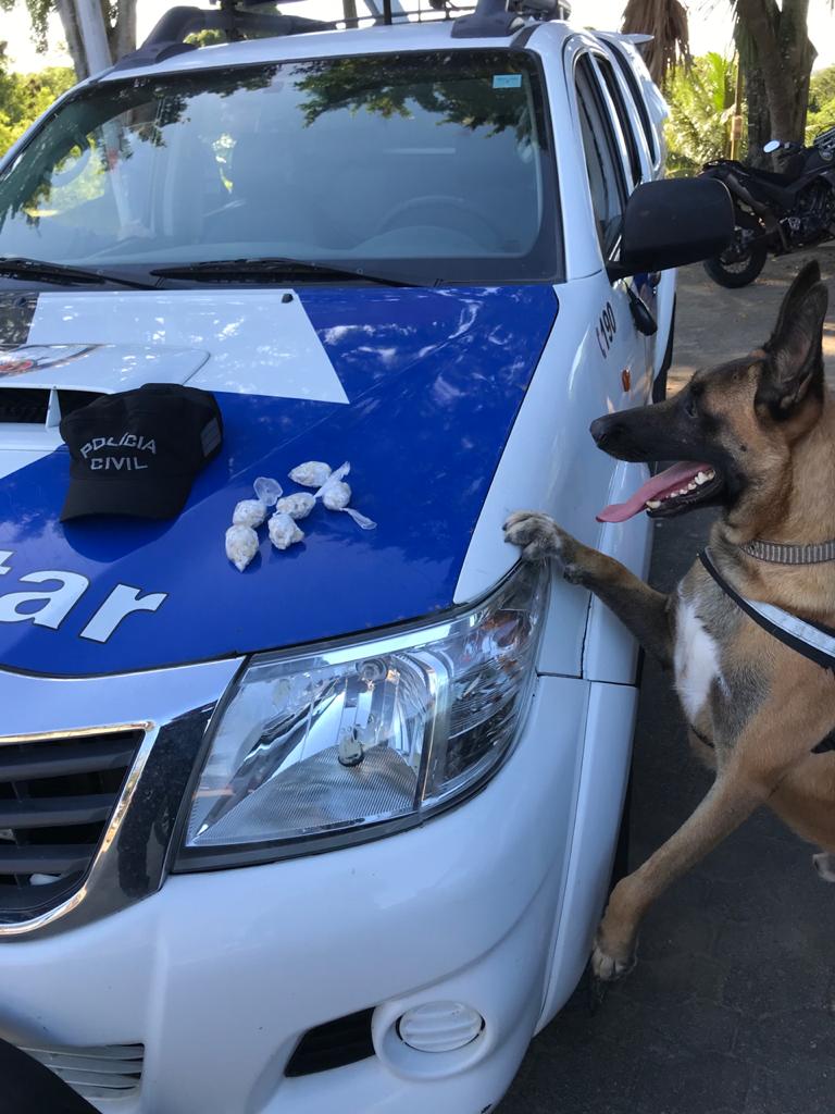k9-1