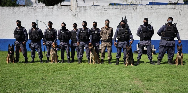 k9-1