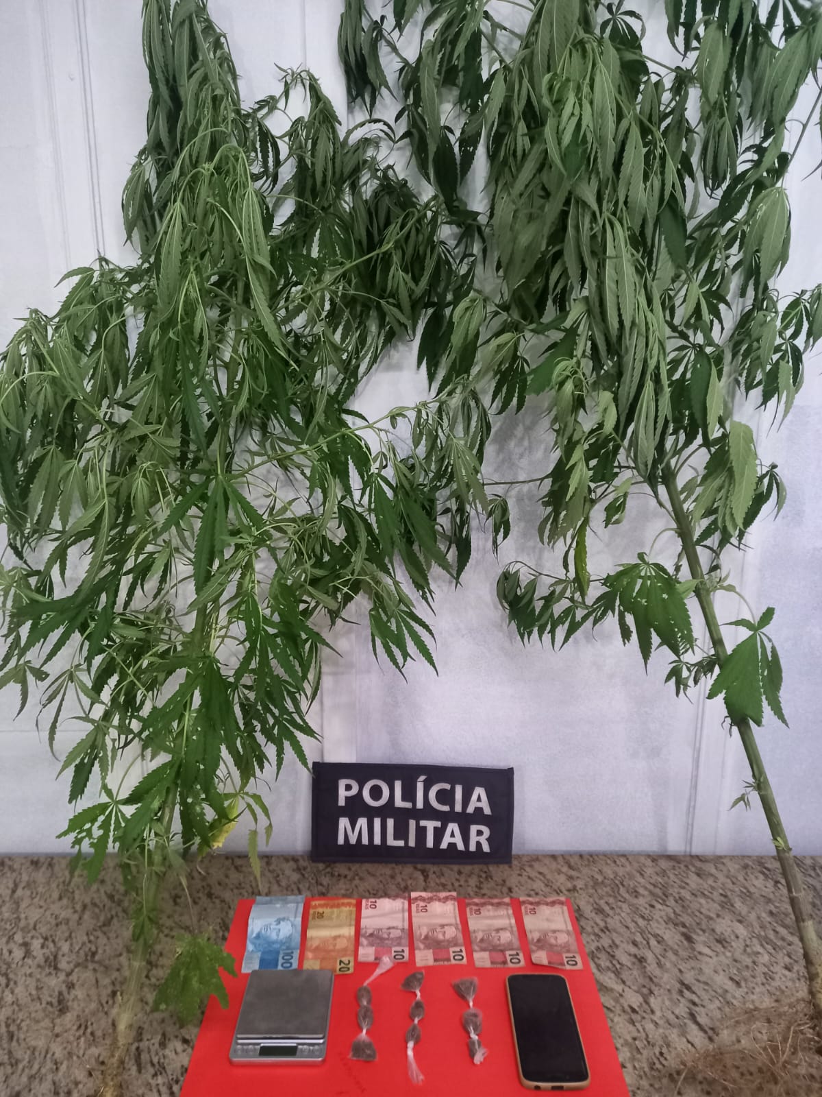 maconha