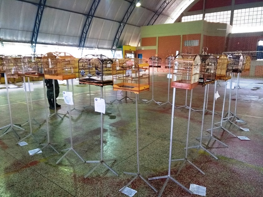 materia147mes102020_