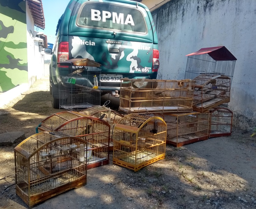 materia60mes072020_