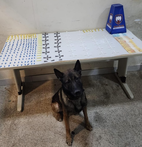 pinos de cocaína e crack-1