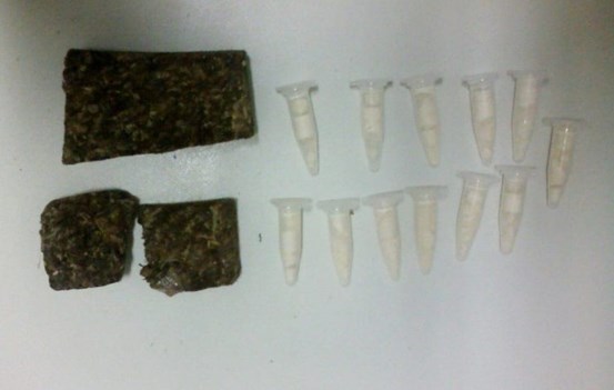 Droga encontrada na mochila de Weyffer