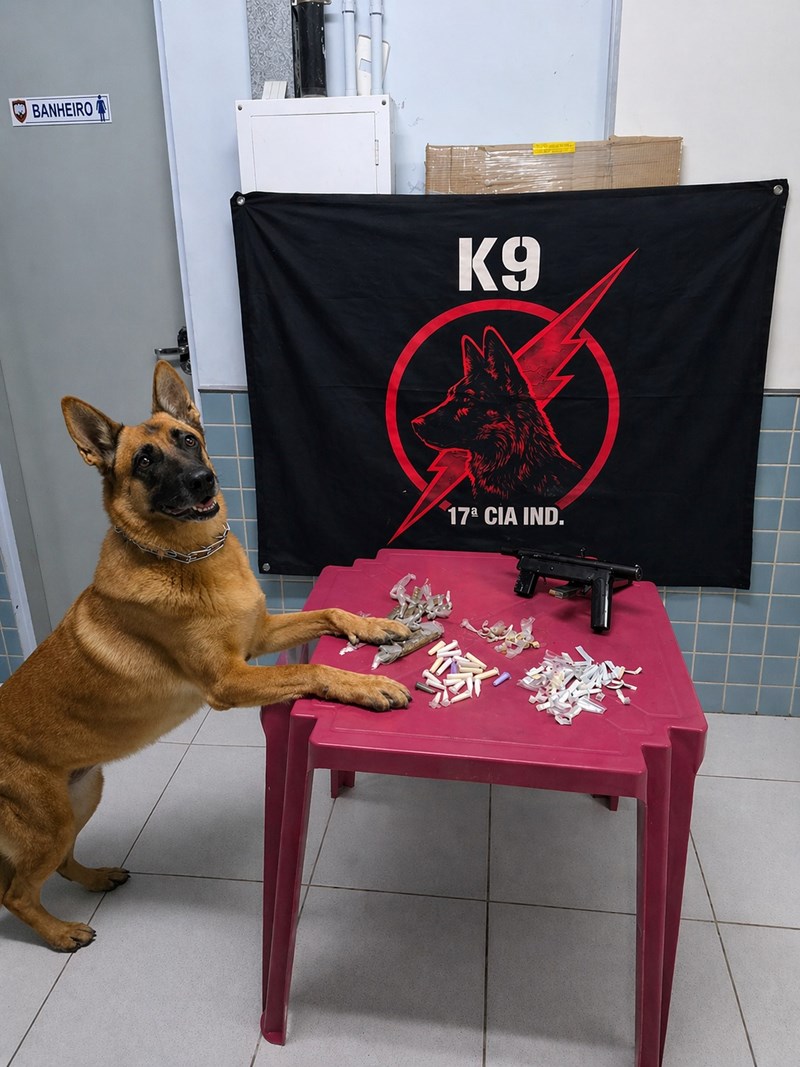 Foto: Reprodução/Polícia Militar - ES