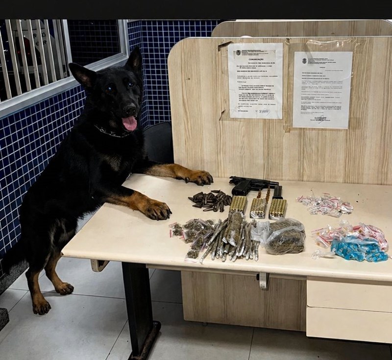 Foto: Reprodução/Polícia Militar - ES