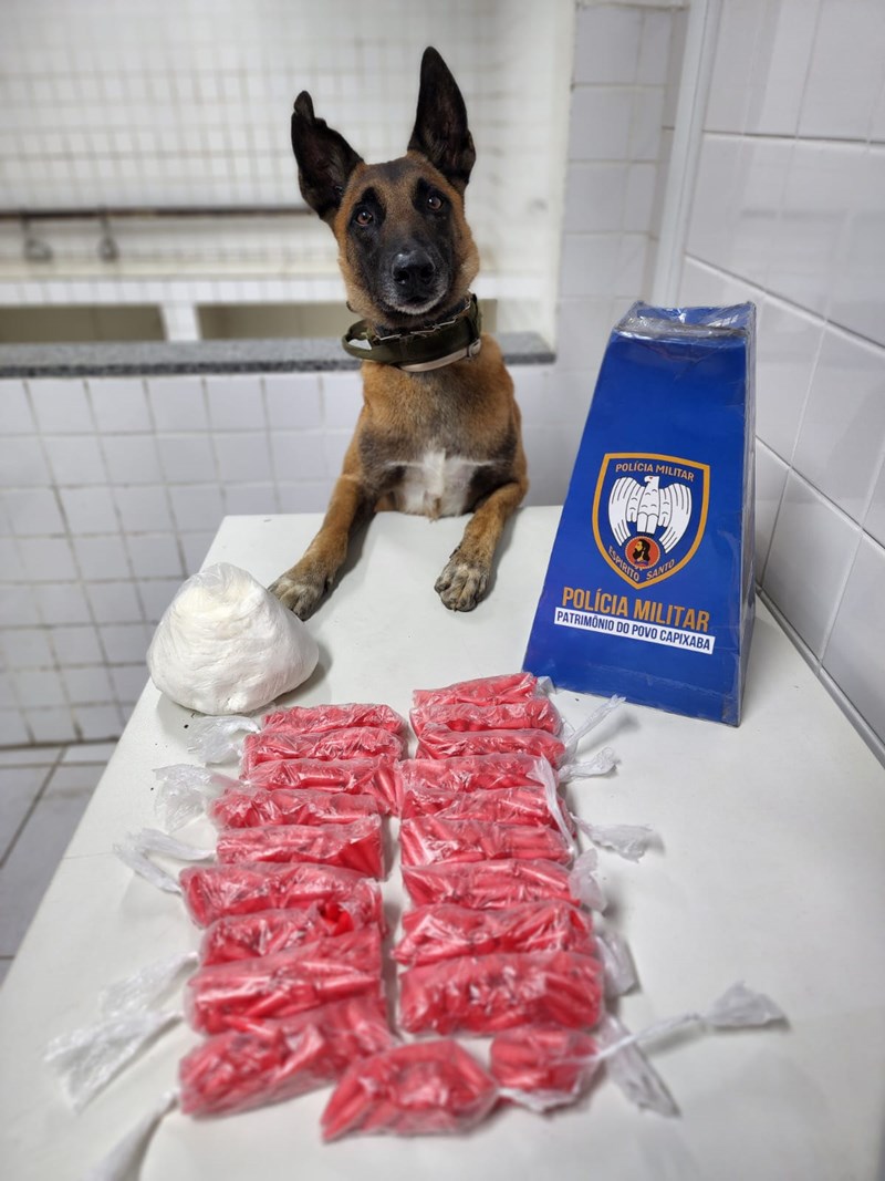 Foto: Reprodução/Polícia Militar - ES