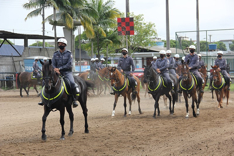 PMES - Cavalaria realiza formatura dos Centauros do V Curso de Choque  Montado