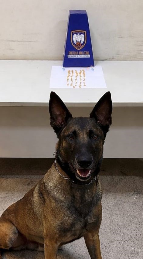 Foto: Reprodução/Polícia Militar - ES