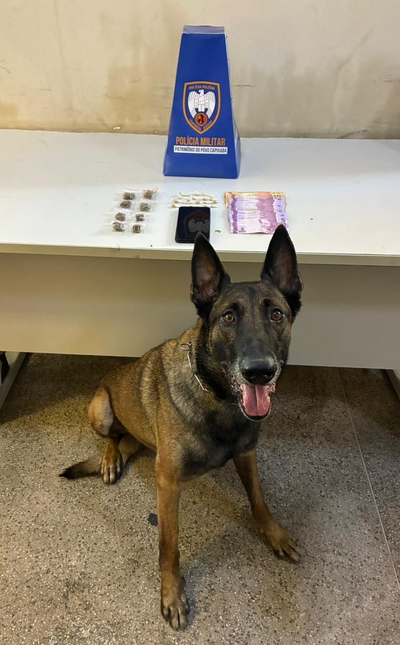 Foto: Reprodução/Polícia Militar - ES