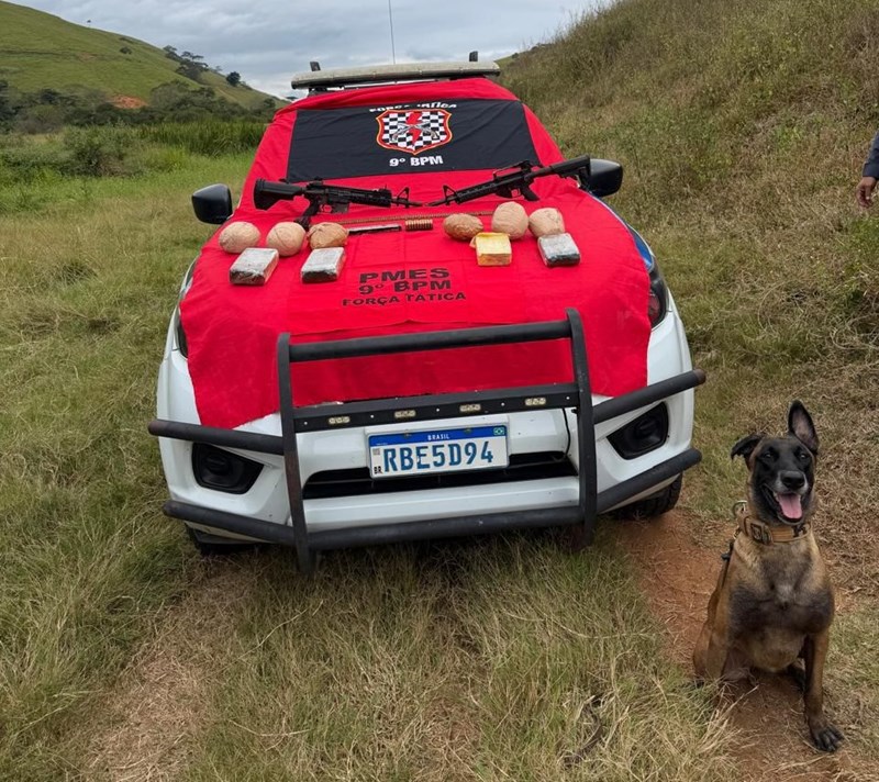 Foto: Reprodução/Polícia Militar - ES