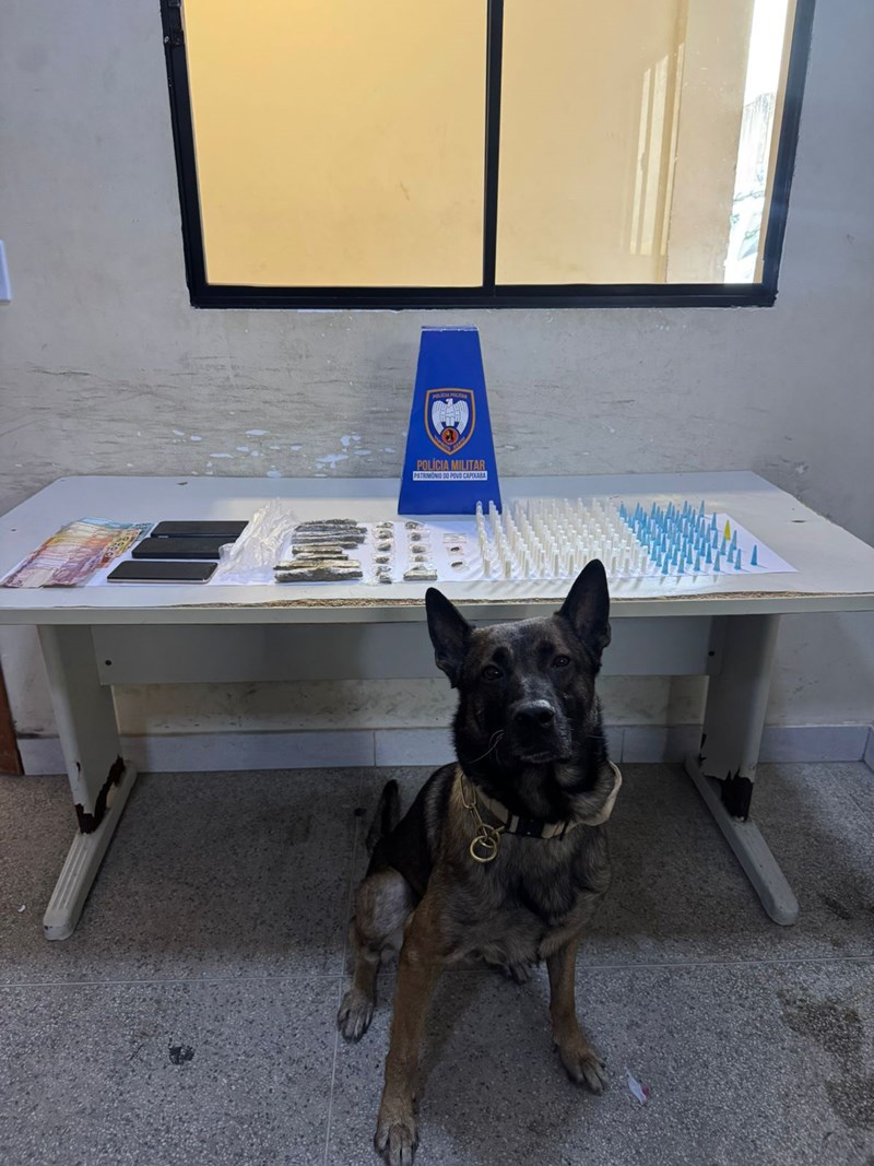 Foto: Reprodução/Polícia Militar - ES