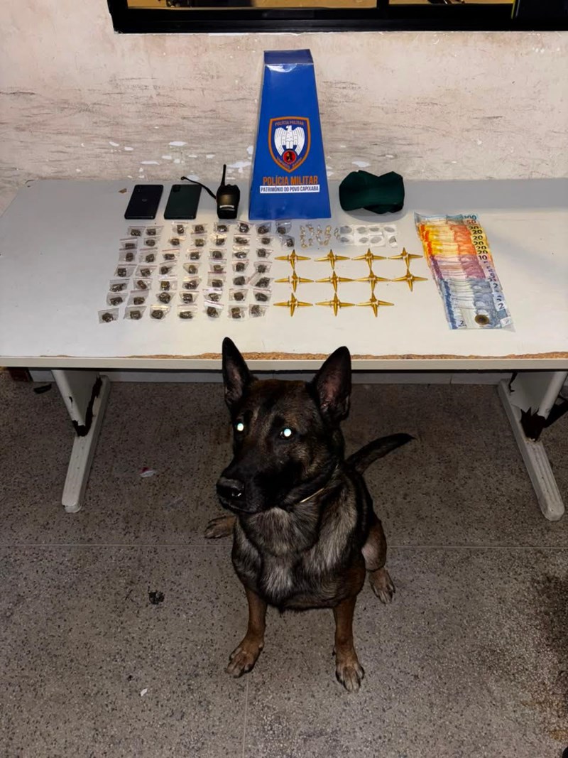 Foto: Reprodução/Polícia Militar - ES