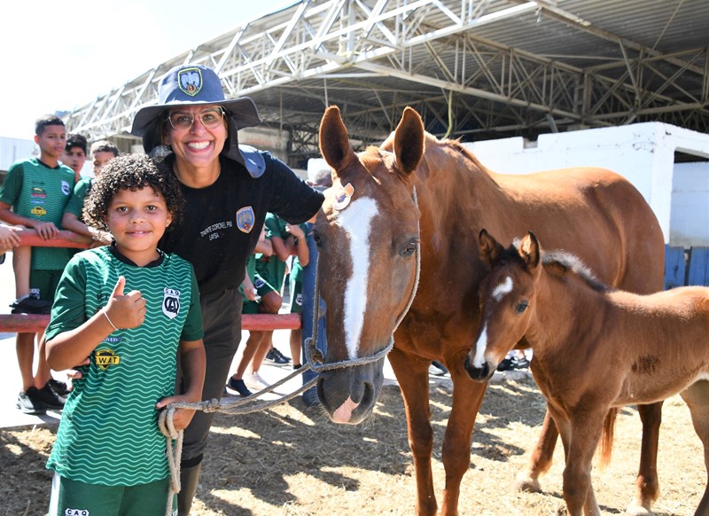 Foto: Reprodução/Polícia Militar - ES