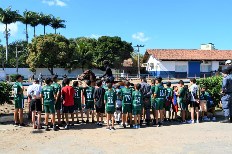 Foto: Reprodução/Polícia Militar - ES