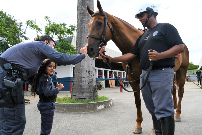 Foto: Reprodução/Polícia Militar - ES