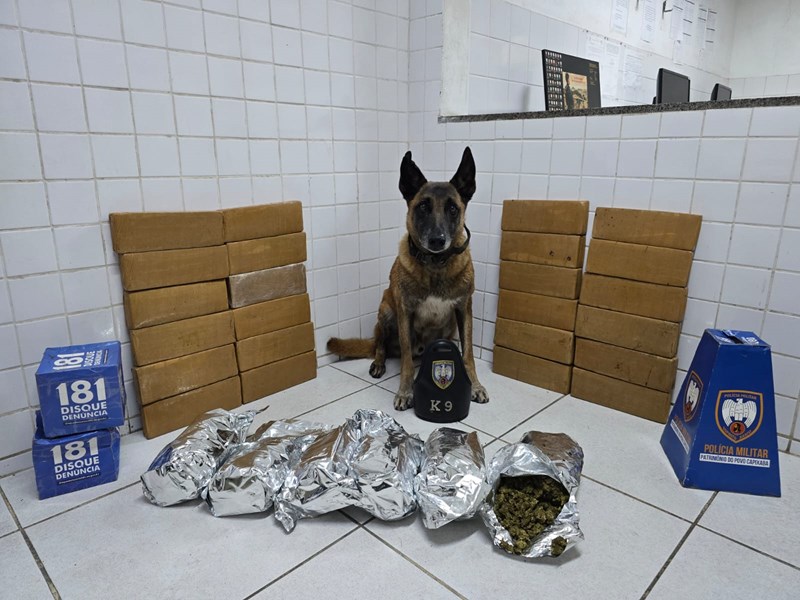 Foto: Reprodução/Polícia Militar - ES