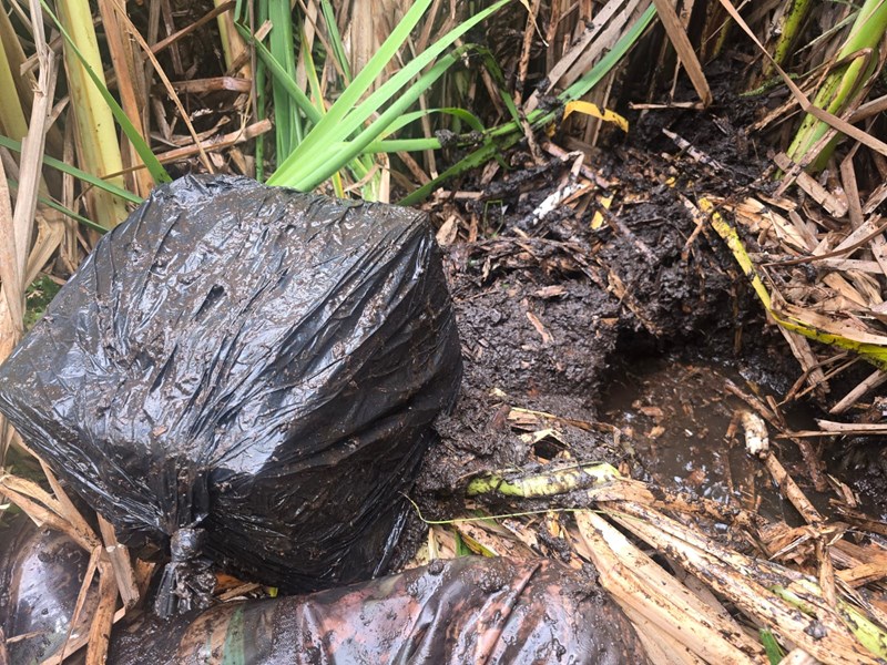 Foto: Reprodução/Polícia Militar - ES