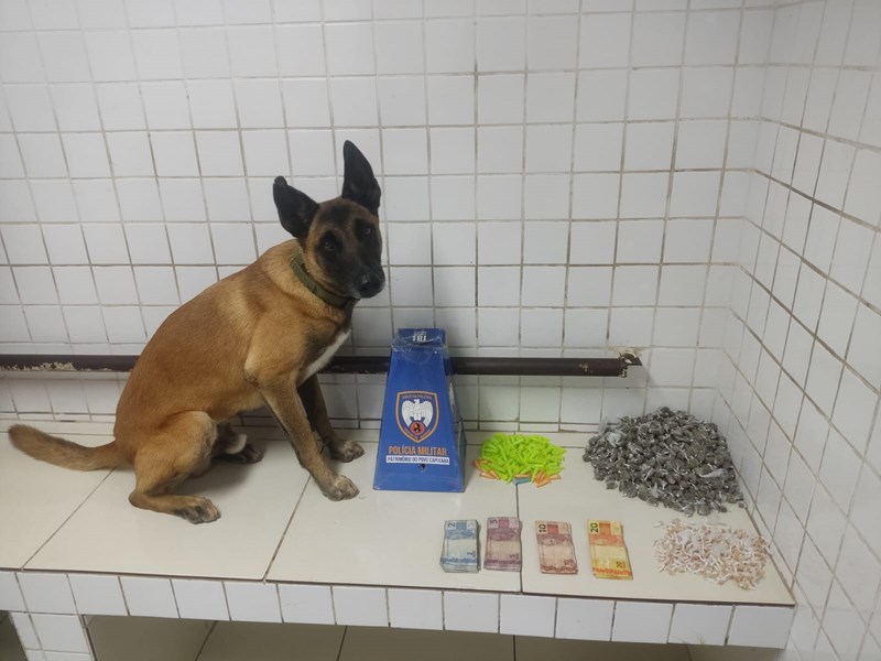 Foto: Reprodução/Polícia Militar - ES