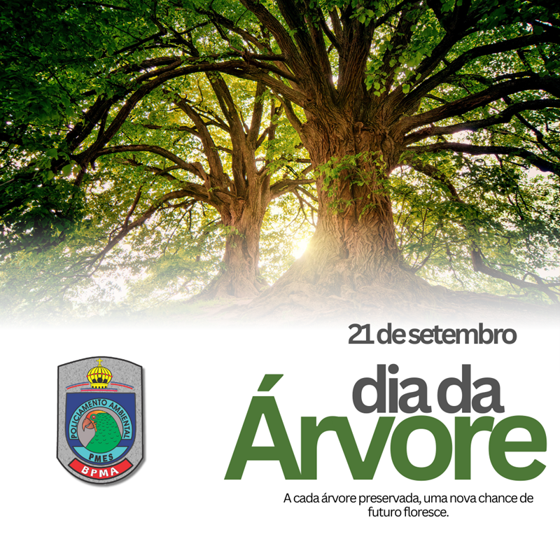 Foto: Reprodução/Polícia Militar - ES