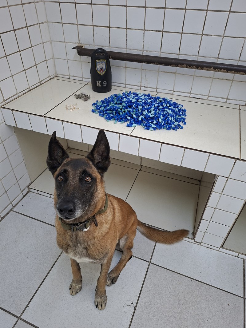 Foto: Reprodução/Polícia Militar - ES