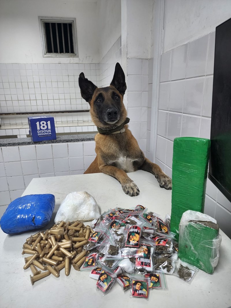 Foto: Reprodução/Polícia Militar - ES