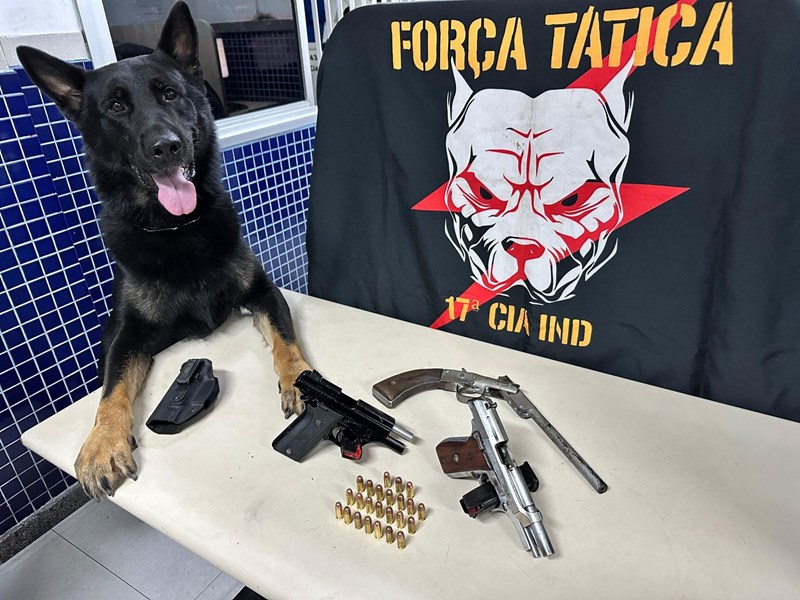 Foto: Reprodução/Polícia Militar - ES