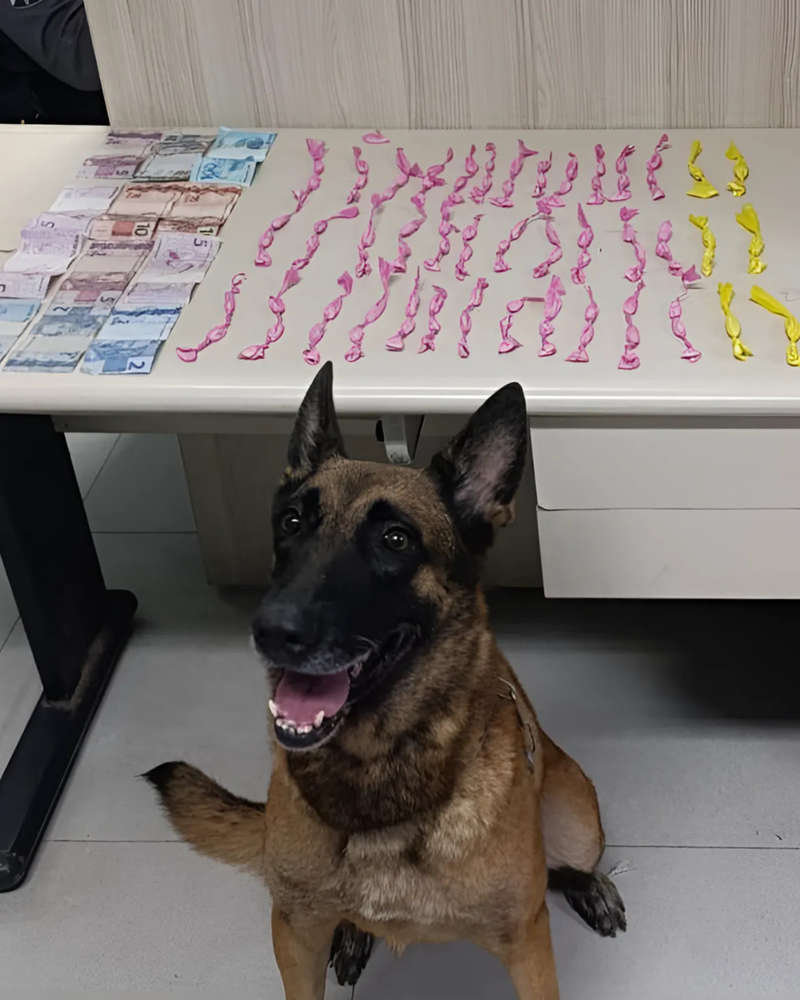 Foto: Reprodução/Polícia Militar - ES