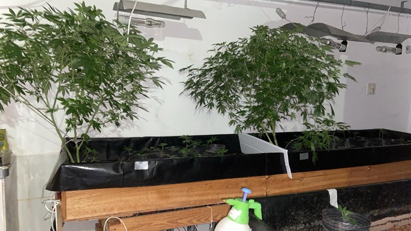 Foto: Reprodução/Polícia Militar - ES