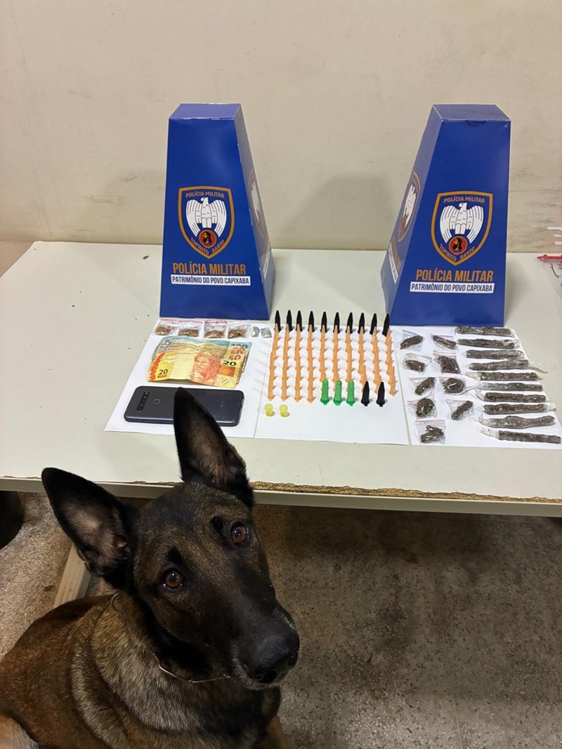 Foto: Reprodução/Polícia Militar - ES