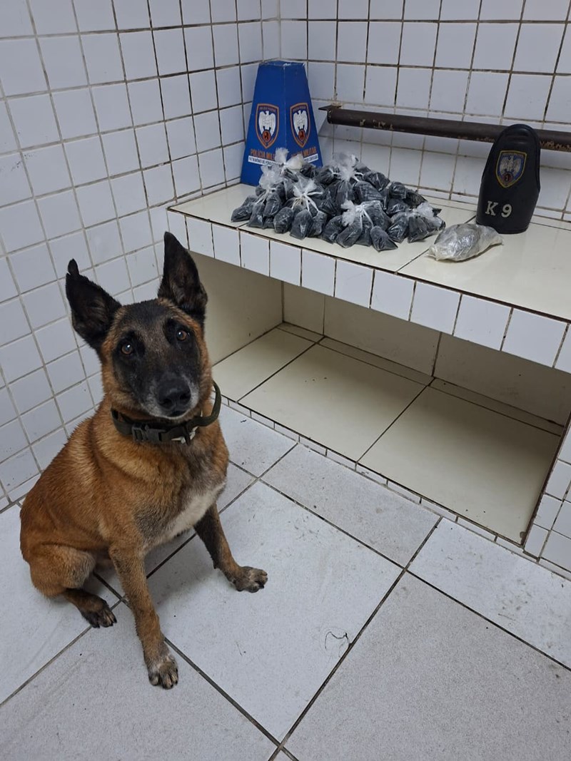 Foto: Reprodução/Polícia Militar - ES