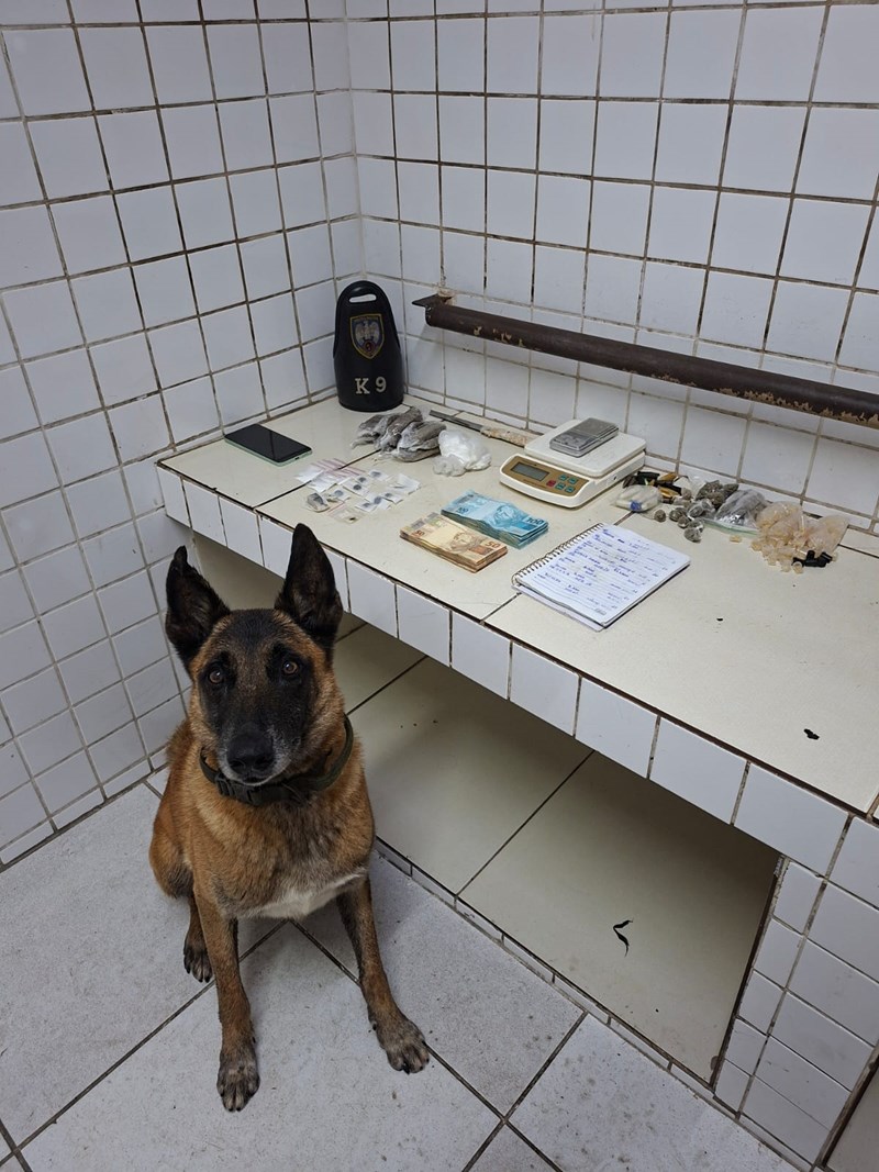 Foto: Reprodução/Polícia Militar - ES