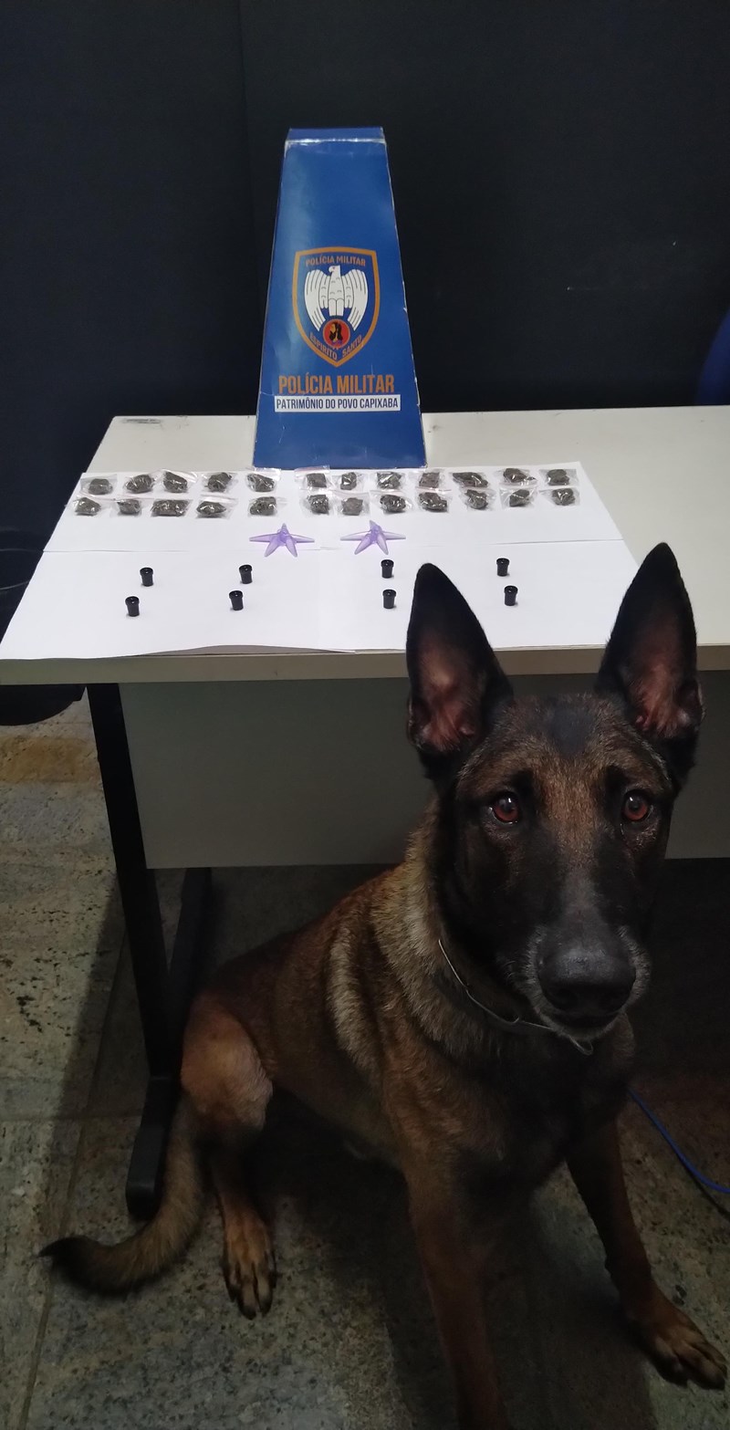 Foto: Reprodução/Polícia Militar - ES