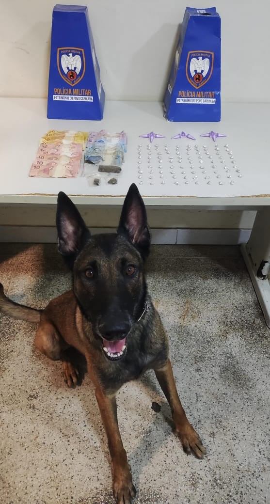 Foto: Reprodução/Polícia Militar - ES