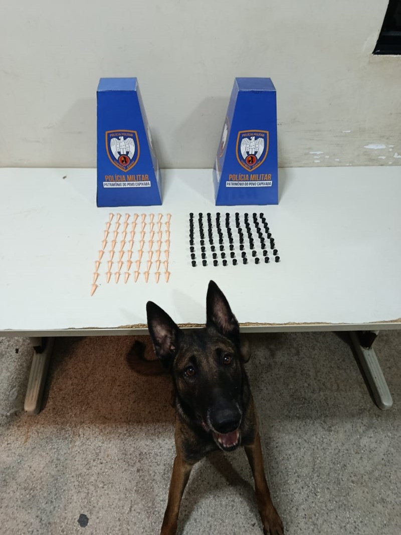 Foto: Reprodução/Polícia Militar - ES