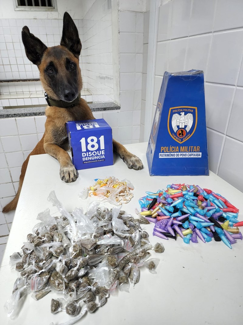 Foto: Reprodução/Polícia Militar - ES