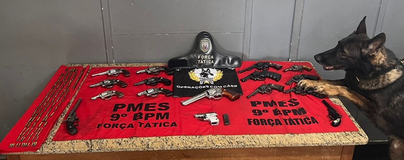 Foto: Reprodução/Polícia Militar - ES