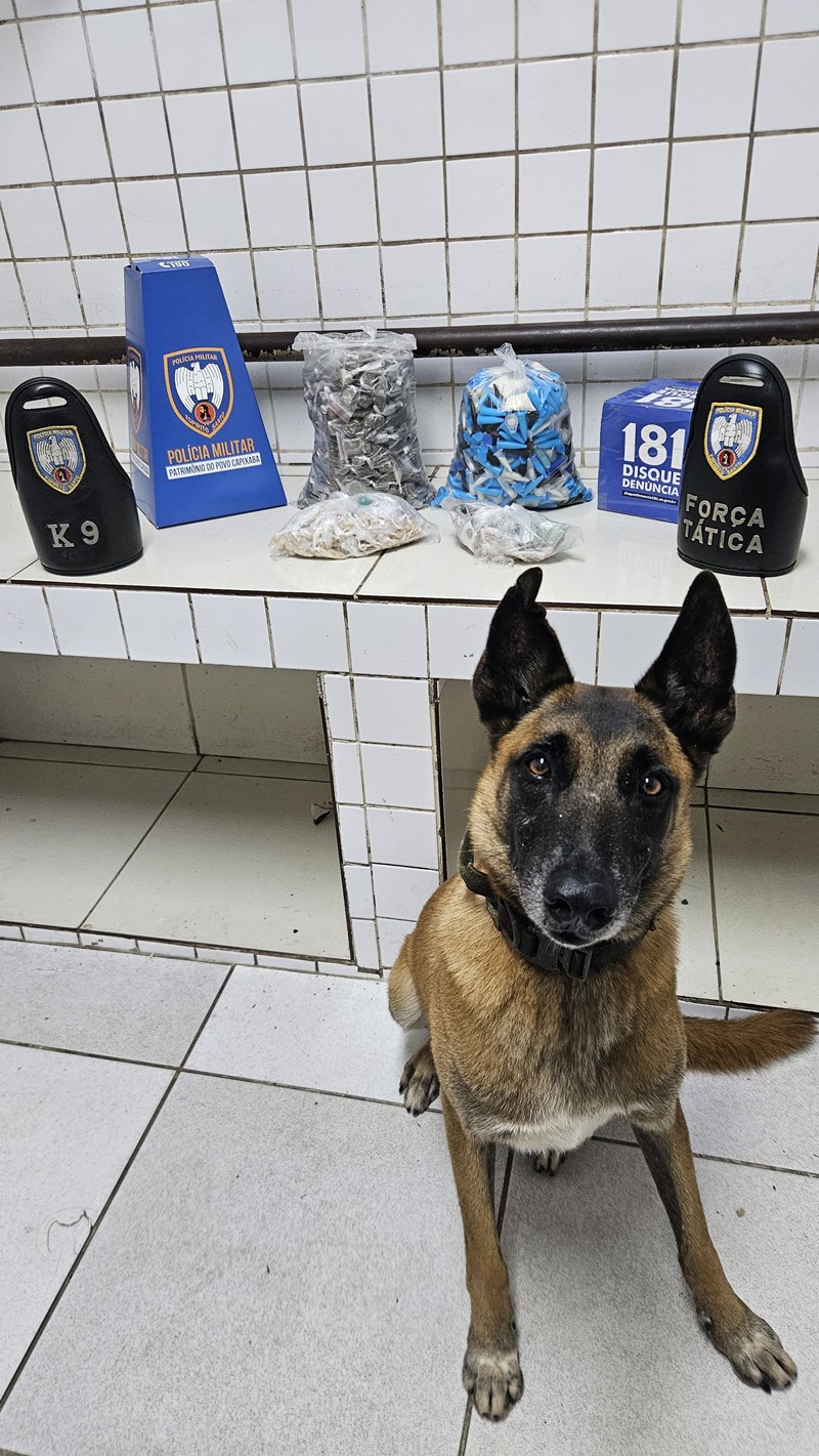 Foto: Reprodução/Polícia Militar - ES