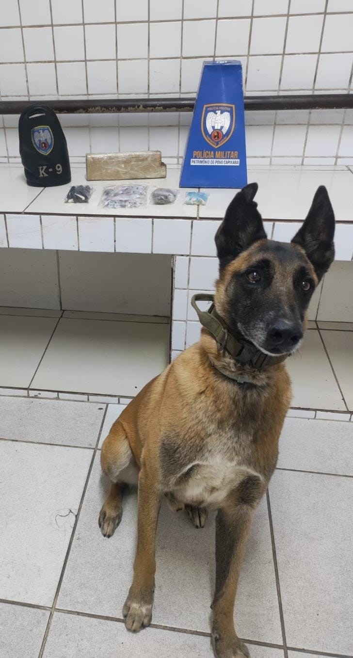Foto: Reprodução/Polícia Militar - ES