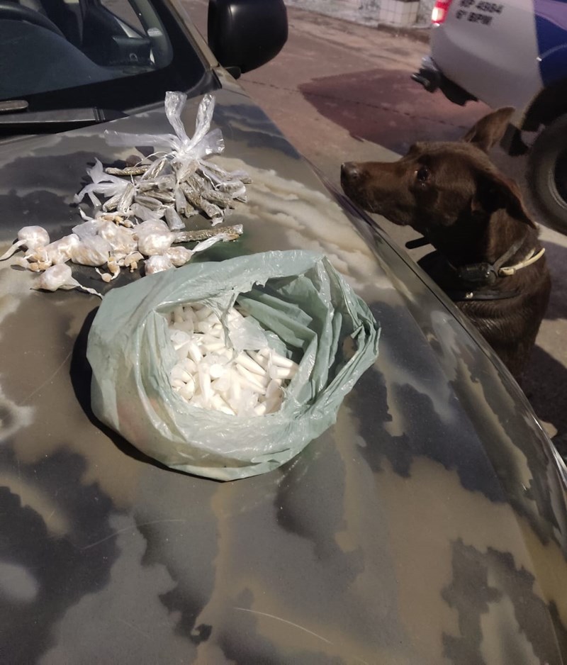 Foto: Reprodução/Polícia Militar - ES