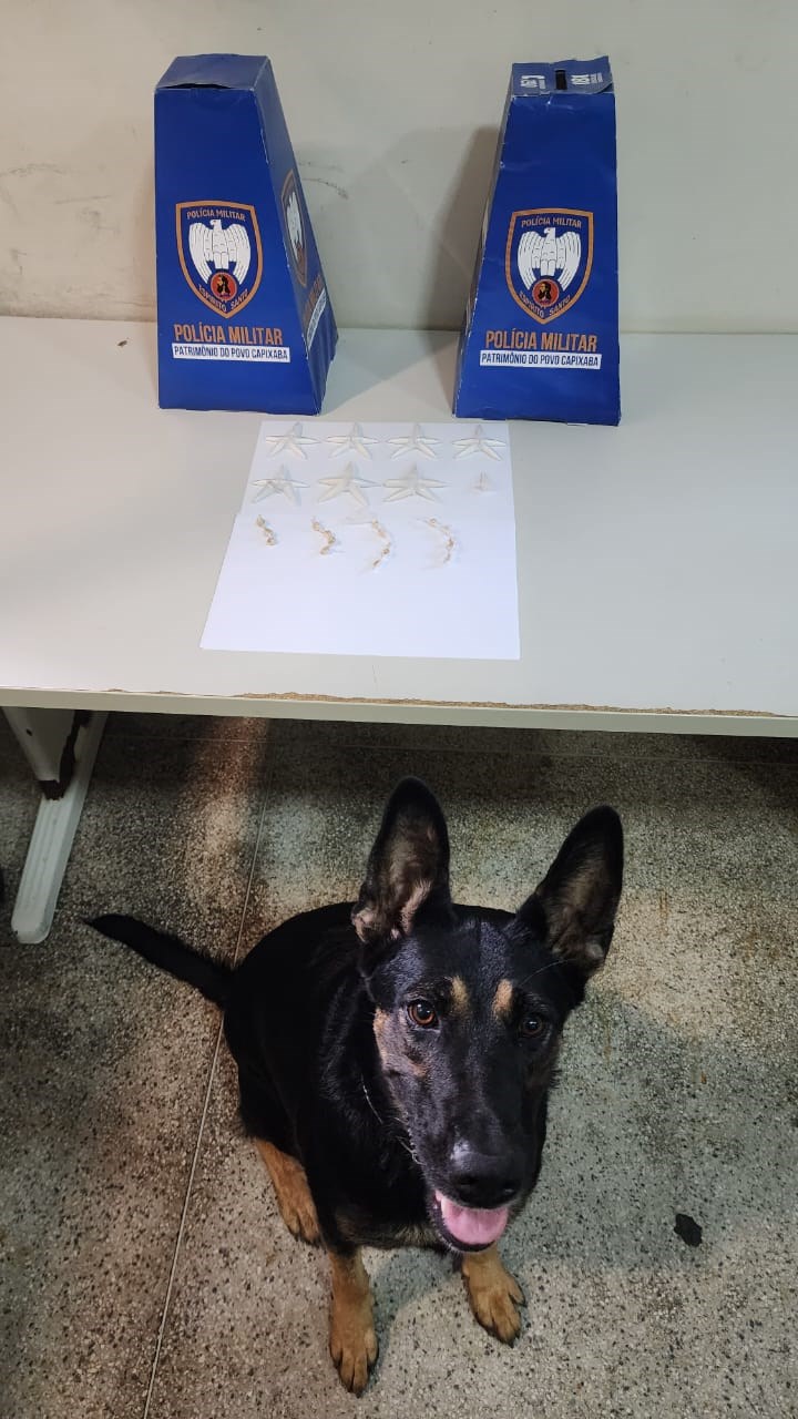Foto: Reprodução/Polícia Militar - ES