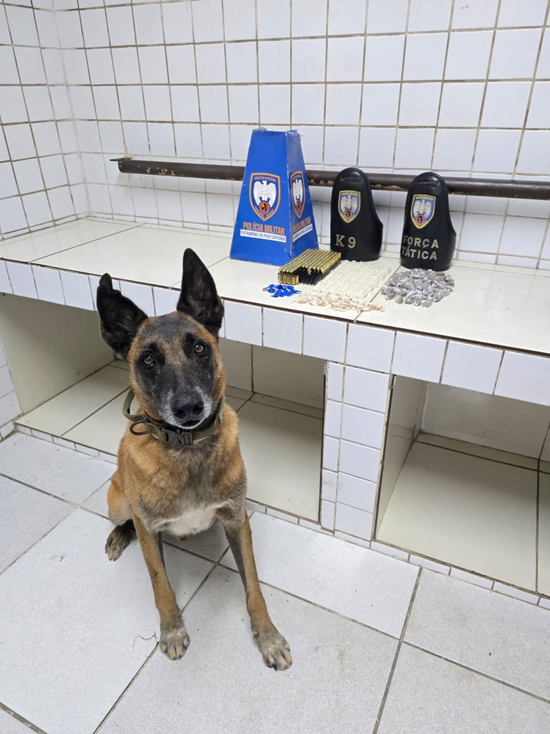 Foto: Reprodução/Polícia Militar - ES