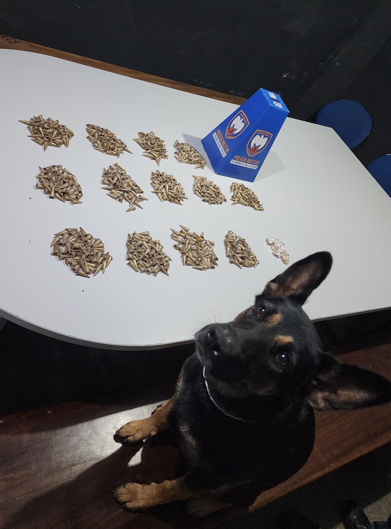 Foto: Reprodução/Polícia Militar - ES