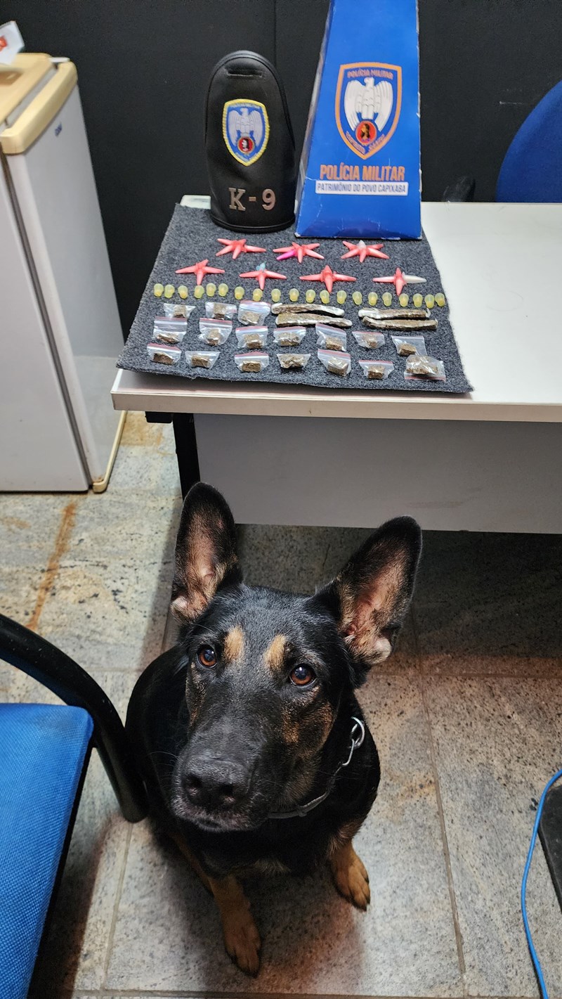 Foto: Reprodução/Polícia Militar - ES